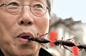 Comer insetos… para matar a fome mundial